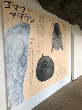 京都水族館に投稿された画像（2024/6/15）
