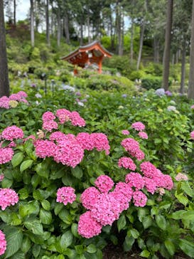 京阪電車に投稿された画像（2024/6/15）