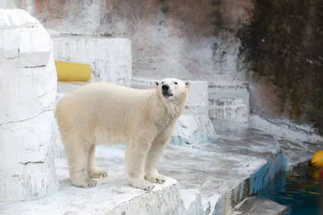 天王寺動物園に投稿された画像（2024/6/15）
