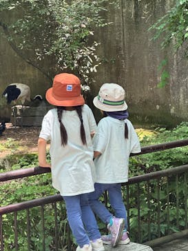 横浜市立金沢動物園に投稿された画像（2024/6/15）
