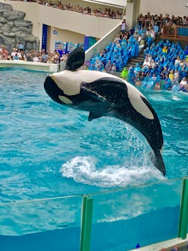 鴨川シーワールドに投稿された画像（2024/6/15）