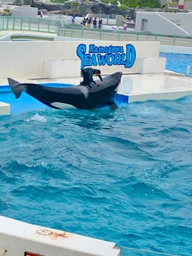 鴨川シーワールドに投稿された画像（2024/6/15）