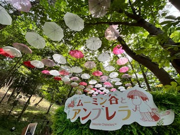 ムーミンバレーパークに投稿された画像（2024/6/15）