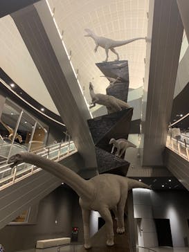 福井県立恐竜博物館に投稿された画像（2024/6/15）