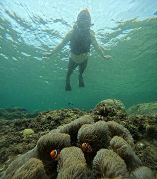 西表島 ADVENTURE PiPi（アドベンチャーピピ）に投稿された画像（2024/6/15）