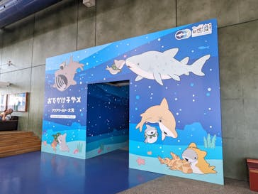 アクアワールド茨城県大洗水族館に投稿された画像（2024/6/15）