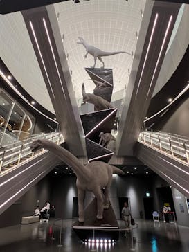 福井県立恐竜博物館に投稿された画像（2024/6/15）