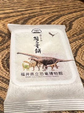 福井県立恐竜博物館に投稿された画像（2024/6/15）