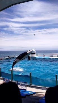 鴨川シーワールドに投稿された画像（2024/6/16）