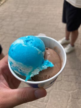 野外民族博物館 リトルワールドに投稿された画像（2024/6/16）