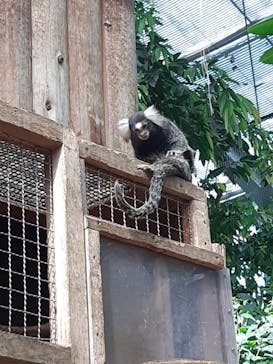 神戸どうぶつ王国に投稿された画像（2024/6/16）