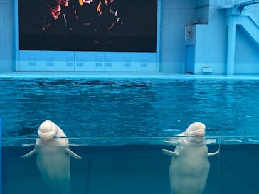 横浜・八景島シーパラダイスに投稿された画像（2024/6/16）