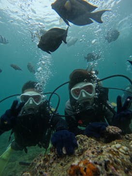 沖縄マリンサービス碧に投稿された画像（2024/6/16）