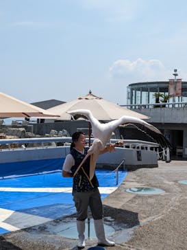 大分マリーンパレス水族館 「うみたまご」に投稿された画像（2024/6/16）