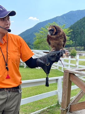 神崎農村公園ヨーデルの森に投稿された画像（2024/6/16）