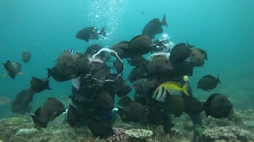 武藤潜水に投稿された画像（2024/6/16）