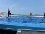四国水族館に投稿された画像（2024/6/16）