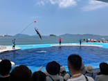 四国水族館に投稿された画像（2024/6/16）