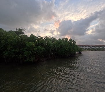 石垣島 ADVENTURE PiPi（イシガキジマアドベンチャーピピ）に投稿された画像（2024/6/16）