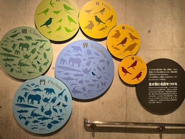 国立科学博物館に投稿された画像（2024/6/16）