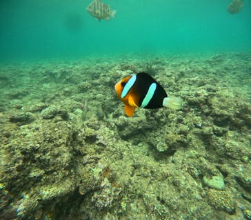 沖縄マリンサービス碧に投稿された画像（2024/6/16）