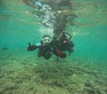 沖縄マリンサービス碧に投稿された画像（2024/6/16）