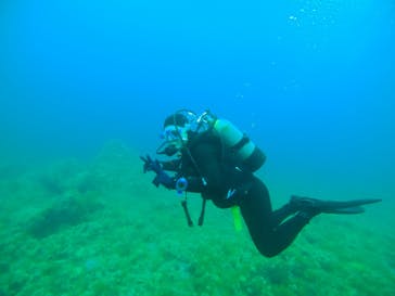 伊豆高原ダイビングスクール 渋谷店に投稿された画像（2024/6/16）
