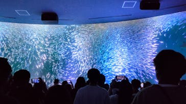 名古屋港水族館に投稿された画像（2024/6/16）