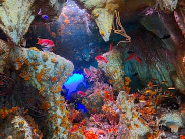 サンシャイン水族館に投稿された画像（2024/6/16）