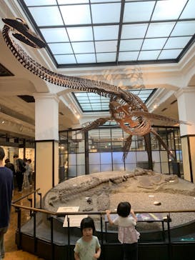 国立科学博物館に投稿された画像（2024/6/16）