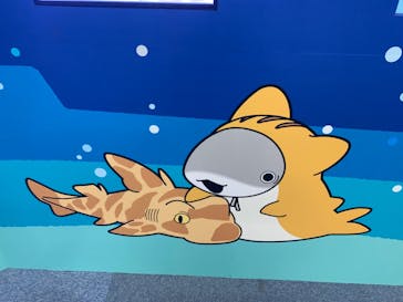 アクアワールド茨城県大洗水族館に投稿された画像（2024/6/16）