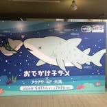 アクアワールド茨城県大洗水族館に投稿された画像（2024/6/16）