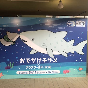 アクアワールド茨城県大洗水族館に投稿された画像（2024/6/16）