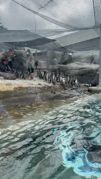 天王寺動物園に投稿された画像（2024/6/16）