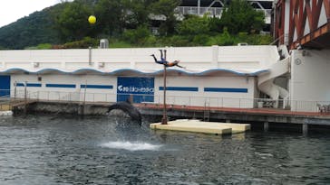 伊豆・三津シーパラダイスに投稿された画像（2024/6/16）