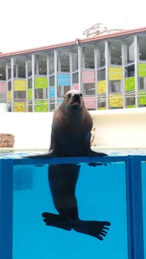 伊豆・三津シーパラダイスに投稿された画像（2024/6/16）