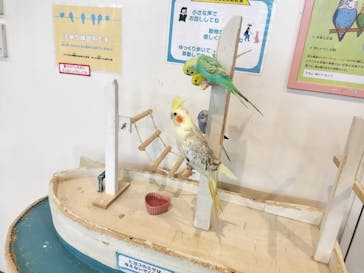 アニタッチみなとみらいに投稿された画像（2024/6/16）