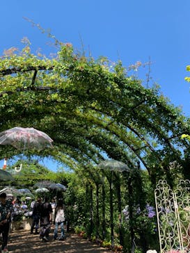 横浜イングリッシュガーデンに投稿された画像（2024/6/16）