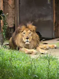 天王寺動物園に投稿された画像（2024/6/16）