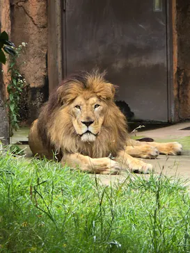 天王寺動物園に投稿された画像（2024/6/16）