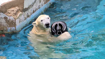 天王寺動物園に投稿された画像（2024/6/16）