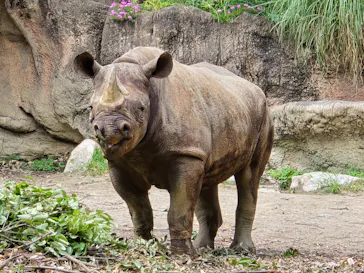 天王寺動物園に投稿された画像（2024/6/16）