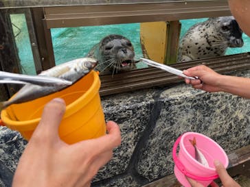 神崎農村公園ヨーデルの森に投稿された画像（2024/6/16）