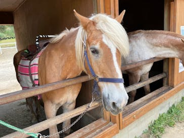 神崎農村公園ヨーデルの森に投稿された画像（2024/6/16）