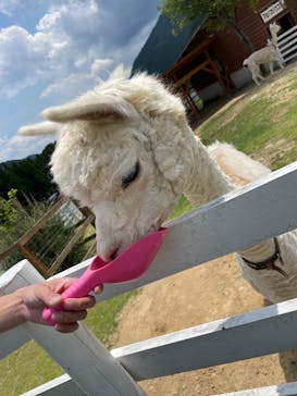 神崎農村公園ヨーデルの森に投稿された画像（2024/6/16）