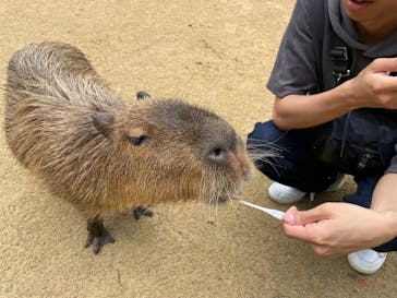 神崎農村公園ヨーデルの森に投稿された画像（2024/6/16）
