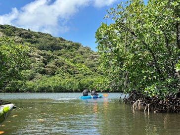西表島 ADVENTURE PiPi（アドベンチャーピピ）に投稿された画像（2024/6/16）