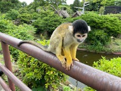 伊豆シャボテン動物公園に投稿された画像（2024/6/16）