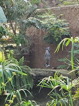 神戸どうぶつ王国に投稿された画像（2024/6/16）