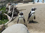 仙台うみの杜水族館に投稿された画像（2024/6/16）